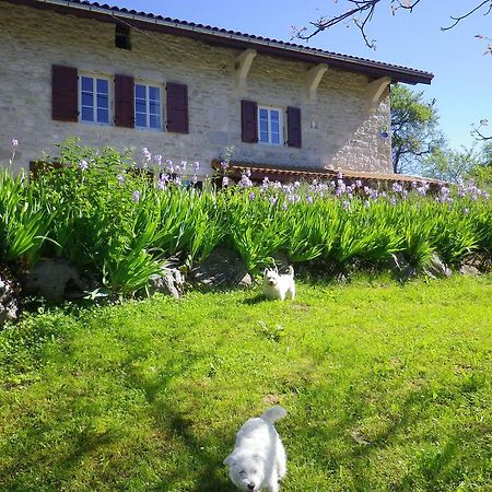 Chambre d'hôtes La Haie Fleurie Chevillard Exterior foto