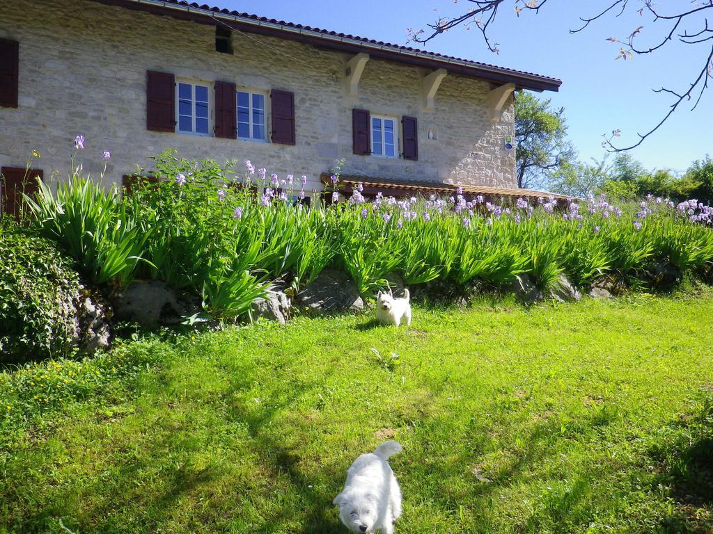 Chambre d'hôtes La Haie Fleurie Chevillard Exterior foto